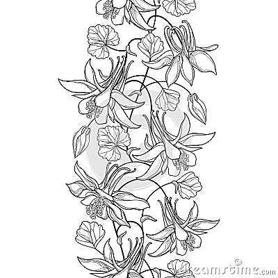 Vector vertical seamless pattern with outline Aquilegia or Columbine flower, bud and ornate leaf in black on the white background. Vector Illustration