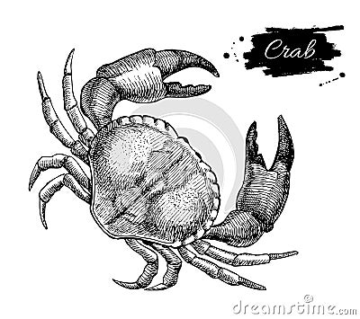 Vector vintage crab drawing. Hand drawn monochrome seafood illus Vector Illustration