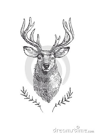 Vector vintage deer head in engraving style. Hand drawn illustration with animal portrait isolated on white Vector Illustration