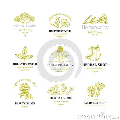 Herbal logos. Vector Illustration