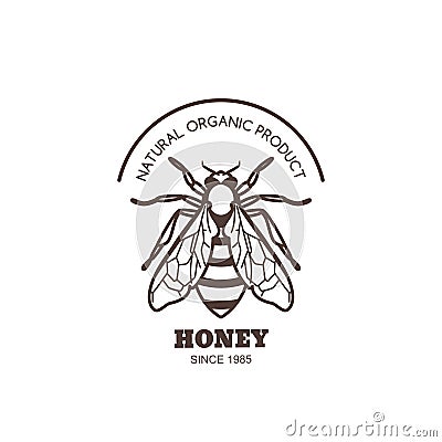 Vector vintage honey label design. Outline honeybee logo or emblem. Linear bee isolated on white background. Vector Illustration