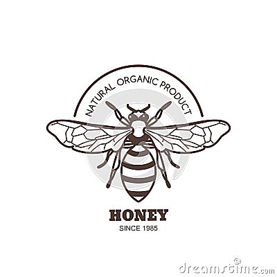 Vector vintage honey label design. Outline honeybee logo or emblem. Linear bee on white background. Vector Illustration