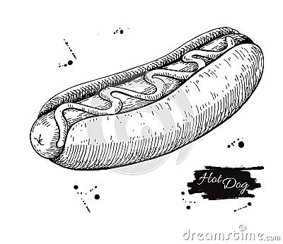 Vector vintage hot dog drawing. Hand drawn monochrome fast food Vector Illustration