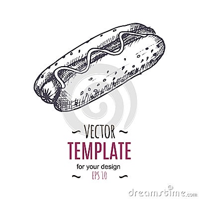 Vector vintage hot dog drawing. Hand drawn monochrome fast food illustration. Vector Illustration