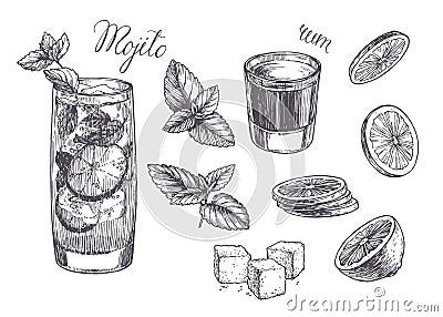 Vector vintage illustration for cocktail recipe. Hand drawn mojito in glass, peppermint leaves, slices of lime, rum and lump sugar Vector Illustration