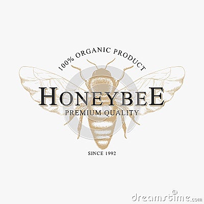 Vector vintage logo with hand drawn sketch honey bee isolated on white background. Natural organic design concept for emblem, Vector Illustration