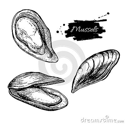 Vector vintage mussel set drawing. Hand drawn monochrome seafood Vector Illustration