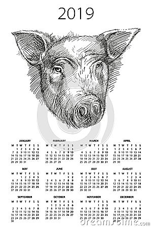 Vector wall calendar for 2019 year with sketch head of pig or boar in black on the white background. Week starts from Monday. Vector Illustration