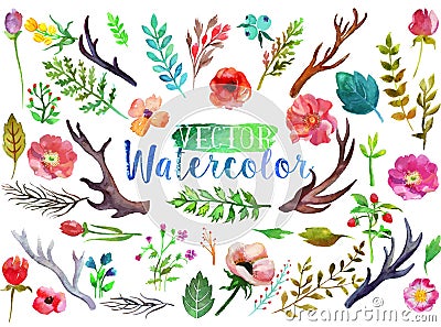 Vector watercolor aquarelle flowers and leaves. Vector Illustration