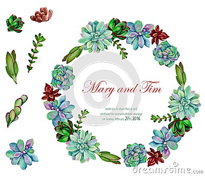 Vector watercolor element and frame of flowers. Vector Illustration