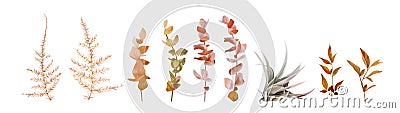 Vector watercolor floral autumn designer element set. Fall colored burnt orange, ocher red eucalyptus branches, natural leaves, Vector Illustration