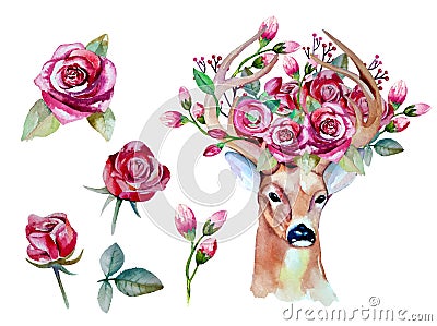 Vector watercolor hand drawn floral set with deer Vector Illustration