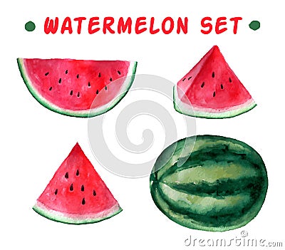 Vector watercolor hand drawn watermelon set. Vector Illustration