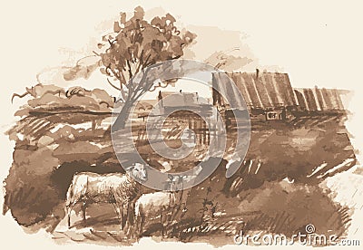 Vector watercolor monochrome drawing of village landscape with grazing sheep Vector Illustration