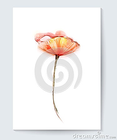 Vector watercolor painting poppy flower. Red poppy flower background for greeting card Vector Illustration