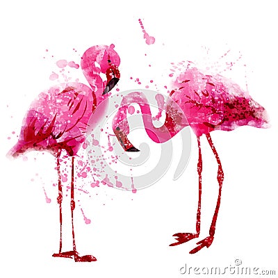 Vector watercolor pink flamingo couple in splashes Vector Illustration