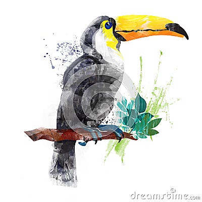 Vector watercolor toucan Stock Photo