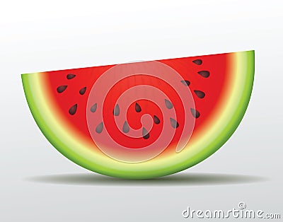 Vector watermelon slice. Isolated Vector Illustration