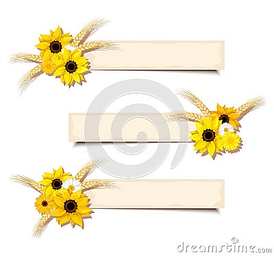 Vector web banners with sunflowers and ears of wheat. Eps-10. Vector Illustration