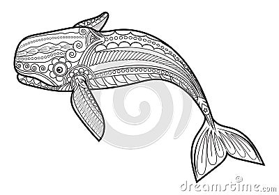 Vector Whale for adult anti stress coloring pages. Vector Illustration