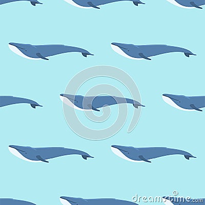 Vector whale illustration seamless pattern humpback ocean marine mammal wildlife aquatic animal character. Vector Illustration