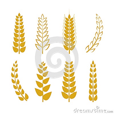 Vector Wheat Icons Set, Golden Wheat Ears Background, Logo Template. Vector Illustration