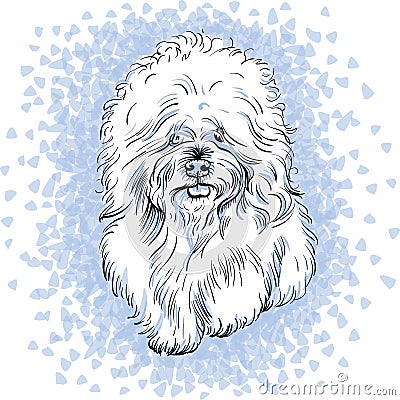 Vector white cute dog Bichon Frise breed Vector Illustration