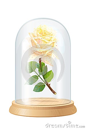 Vector white rose, glass flask Vector Illustration