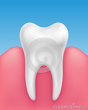Vector white single tooth in healthy gums on blue background - stomatology, dental hygiene Vector Illustration
