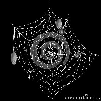 Vector white spiderweb with spiders and cocoons Vector Illustration