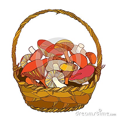 Vector wicker basket with outline forest mushroom isolated on white background. Vector Illustration