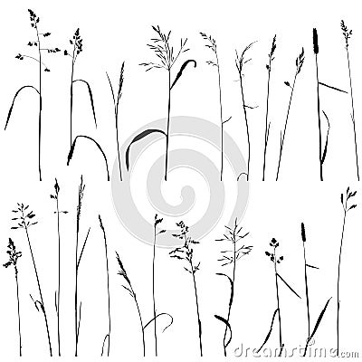 Vector wild cereal plants Vector Illustration