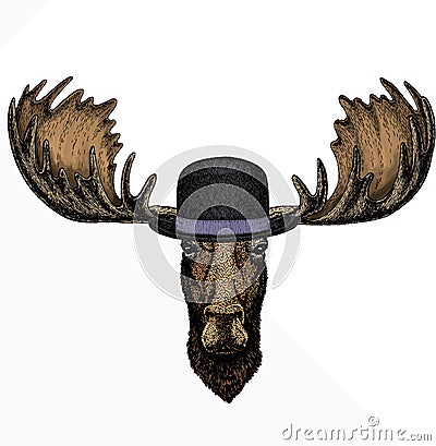 Vector wild moose, elk portrait. Moose head, face. Bowler hat. Vector Illustration