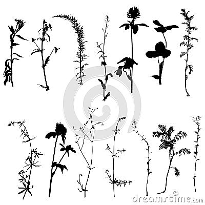 Vector wild plants silhouettes Vector Illustration