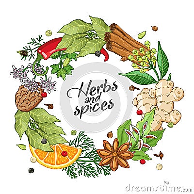 Vector winter circle template with spices, herbs Vector Illustration