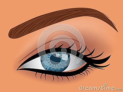 Vector woman blue eye Vector Illustration