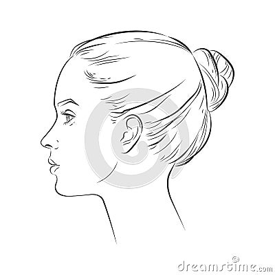 Vector woman face in profile. Portrait of girl looking side and front angles. line sketch isolated illustration on white Vector Illustration