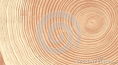 Vector wood texture of wavy ring pattern from a slice of tree. Grayscale wooden stump isolated on white. Vector Illustration