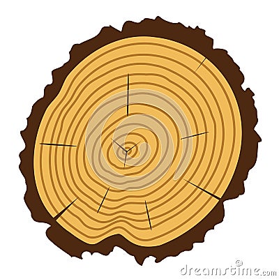 vector wooden cut of a tree log Vector Illustration