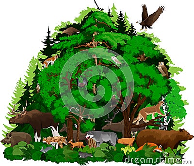 Vector woodland forest with animals illustration Vector Illustration