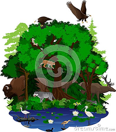 Vector woodland green forest and lake with animals Vector Illustration