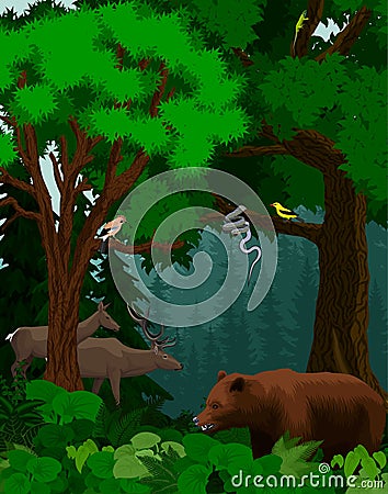 Vector woodland green forest trees backlit with bear, deers, snake and birds Vector Illustration