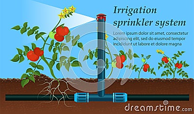 Vector is Written Irrigation Sprinkler System. Vector Illustration