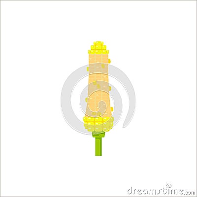 Vector yellow corn in flat style isolated on white background. Vector Illustration