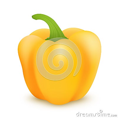 Vector yellow sweet bulgarian bell pepper, paprika isolated on white background Vector Illustration