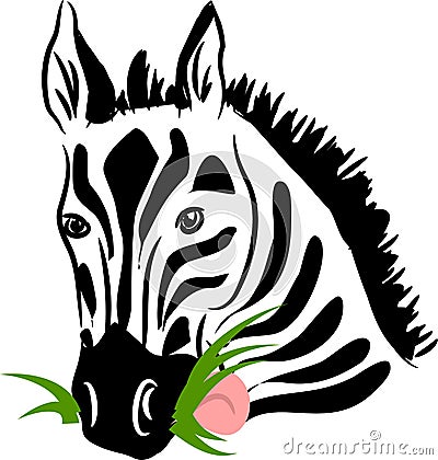 Vector zebra eating grass Vector Illustration