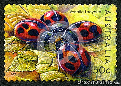 Vedalia Ladybird Australian Postage Stamp Cartoon Illustration