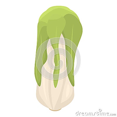 Vegan cabbage icon, isometric style Vector Illustration