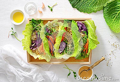 Vegan detox spring rolls with quinoa, sprouts and Thai peanut sa Stock Photo