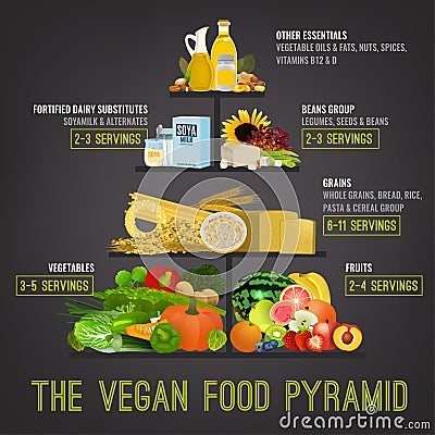 The vegan food pyramid Vector Illustration